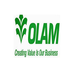 Olam